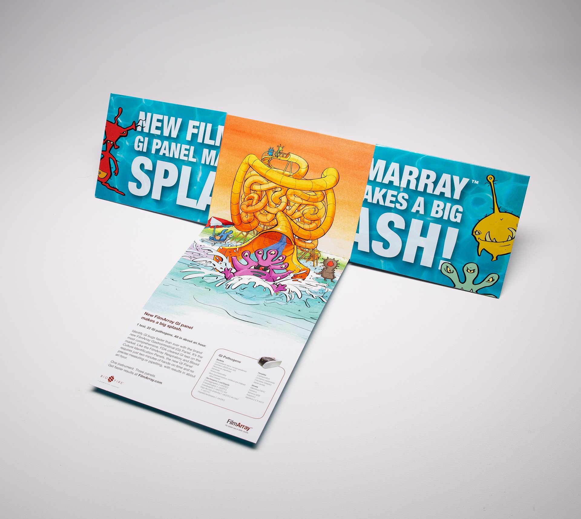 FilmArray Split Screen Mailer - Information Packaging